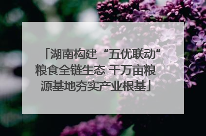 湖南构建“五优联动”粮食全链生态 千万亩粮源基地夯实产业根基
