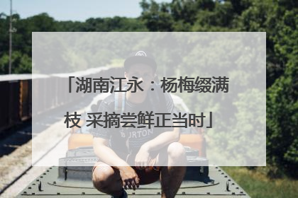 湖南江永：杨梅缀满枝 采摘尝鲜正当时