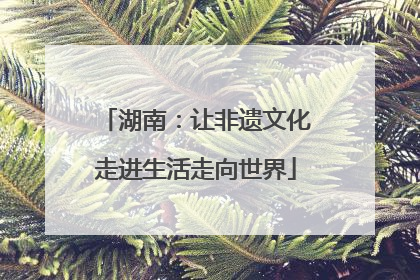 湖南：让非遗文化走进生活走向世界