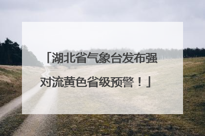湖北省气象台发布强对流黄色省级预警！
