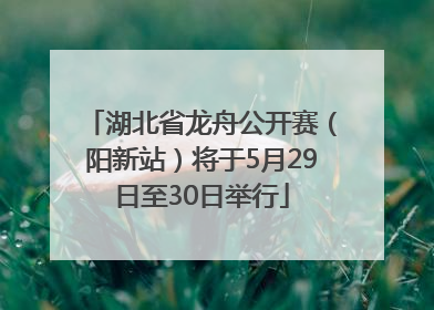 湖北省龙舟公开赛（阳新站）将于5月29日至30日举行