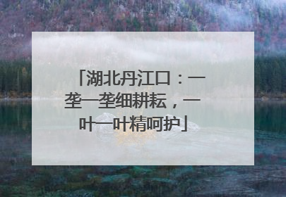 湖北丹江口：一垄一垄细耕耘，一叶一叶精呵护