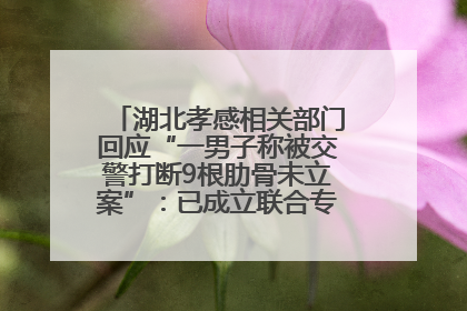 湖北孝感相关部门回应“一男子称被交警打断9根肋骨未立案”：已成立联合专班开展工作