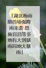 湖北梅雨期首场强降雨来袭 恩施宜昌等多地有大到暴雨局地大暴雨