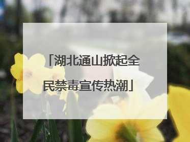 湖北通山掀起全民禁毒宣传热潮