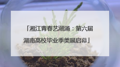 湘江青春艺潮涌：第六届湖南高校毕业季美展启幕