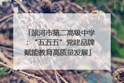 漯河市第二高级中学：“五五五”党建品牌赋能教育高质量发展