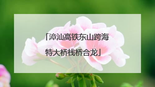 漳汕高铁东山跨海特大桥栈桥合龙