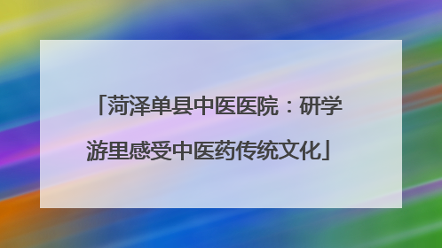 菏泽单县中医医院：研学游里感受中医药传统文化