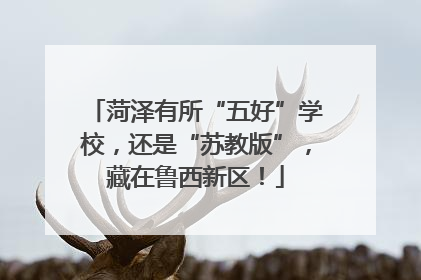 菏泽有所“五好”学校，还是“苏教版”，藏在鲁西新区！