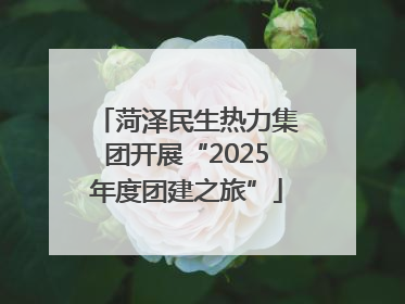 菏泽民生热力集团开展“2025年度团建之旅”