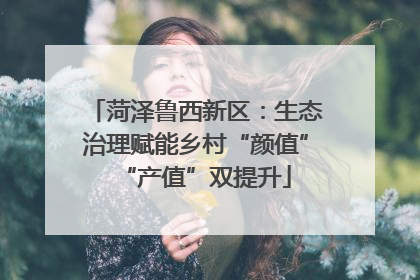 菏泽鲁西新区：生态治理赋能乡村“颜值”“产值”双提升