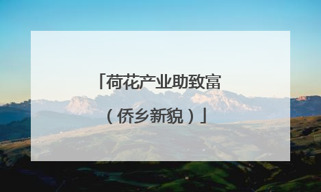 荷花产业助致富（侨乡新貌）