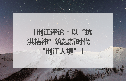 荆江评论：以“抗洪精神”筑起新时代“荆江大堤”