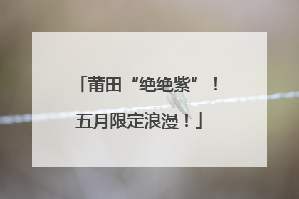 莆田“绝绝紫”！五月限定浪漫！
