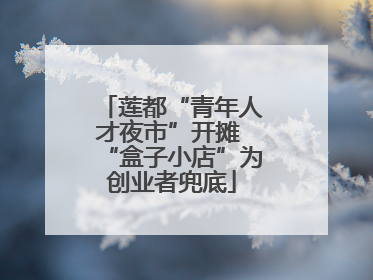 莲都“青年人才夜市”开摊 “盒子小店”为创业者兜底