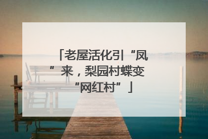 老屋活化引“凤”来，梨园村蝶变“网红村”
