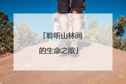 聆听山林间的生命之歌