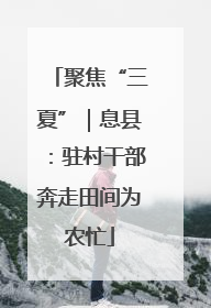 聚焦“三夏”｜息县：驻村干部奔走田间为农忙