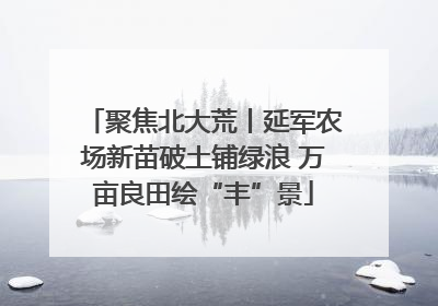 聚焦北大荒丨延军农场新苗破土铺绿浪 万亩良田绘“丰”景