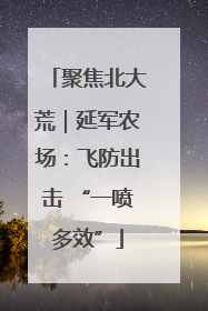 聚焦北大荒｜延军农场：飞防出击 “一喷多效”