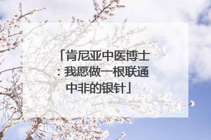 肯尼亚中医博士：我愿做一根联通中非的银针