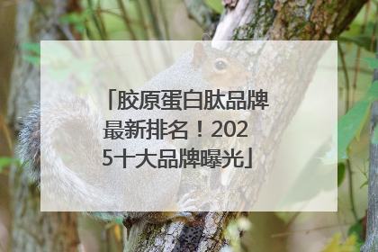 胶原蛋白肽品牌最新排名！2025十大品牌曝光