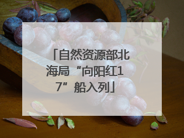 自然资源部北海局“向阳红17”船入列