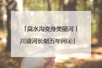 臭水沟变身美丽河丨川渝河长制五年间④