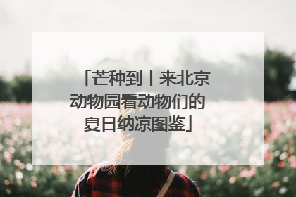 芒种到丨来北京动物园看动物们的夏日纳凉图鉴