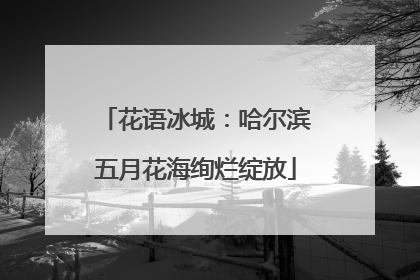 花语冰城：哈尔滨五月花海绚烂绽放