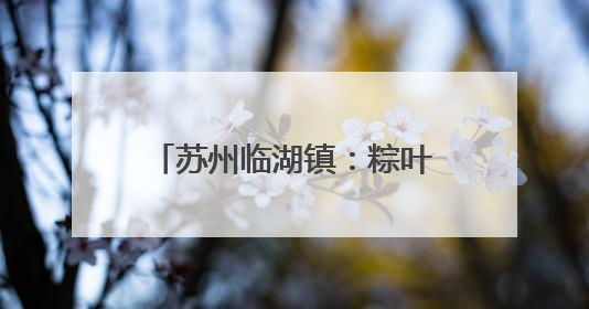苏州临湖镇：粽叶飘香传文明 村村有“戏”树新风