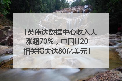 英伟达数据中心收入大涨超70%，中国H20相关损失达80亿美元