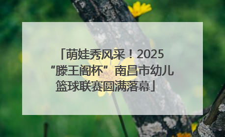 萌娃秀风采！2025“滕王阁杯”南昌市幼儿篮球联赛圆满落幕