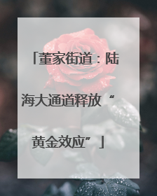董家街道：陆海大通道释放“黄金效应”