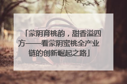 蒙阴育桃韵，甜香溢四方——看蒙阴蜜桃全产业链的创新崛起之路