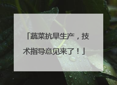 蔬菜抗旱生产，技术指导意见来了！