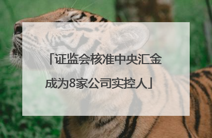证监会核准中央汇金成为8家公司实控人