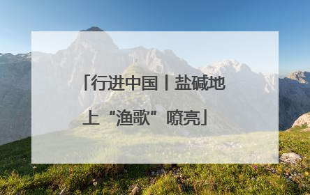 行进中国丨盐碱地上“渔歌”嘹亮