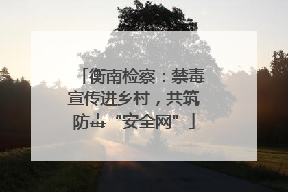 衡南检察：禁毒宣传进乡村，共筑防毒“安全网”