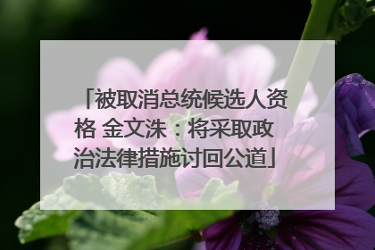 被取消总统候选人资格 金文洙：将采取政治法律措施讨回公道