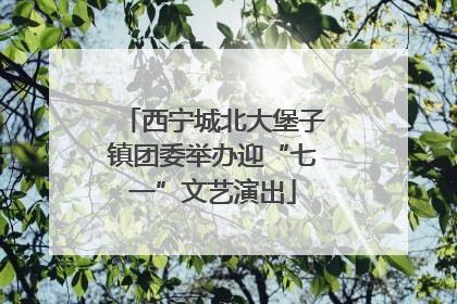 西宁城北大堡子镇团委举办迎“七一”文艺演出