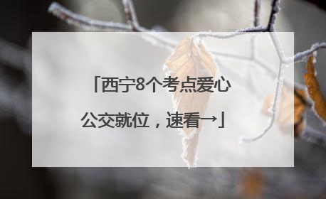 西宁8个考点爱心公交就位，速看→