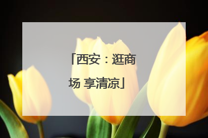 西安：逛商场 享清凉