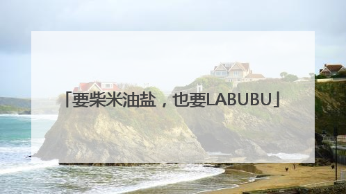 要柴米油盐，也要LABUBU