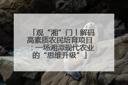 观“湘”门丨解码高素质农民培育项目：一场湘潭现代农业的“思维升级”