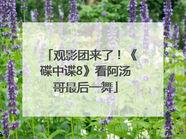 观影团来了！《碟中谍8》看阿汤哥最后一舞