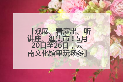 观展、看演出、听讲座、逛集市！5月20日至26日，云南文化馆里玩场多