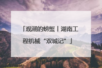 观潮的螃蟹丨湖南工程机械“双城记”