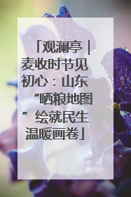 观澜亭｜麦收时节见初心：山东“晒粮地图”绘就民生温暖画卷